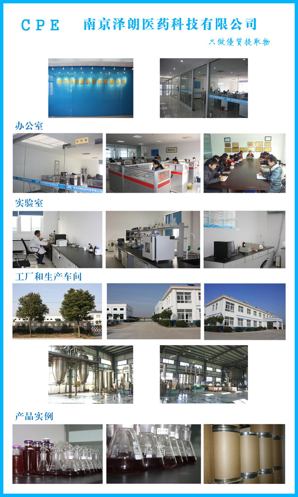 決明子提取物 醫藥科技工廠中的高效制備與應用