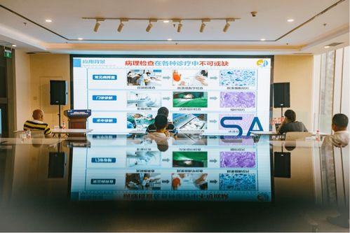 數(shù)字經(jīng)濟產(chǎn)業(yè)賦能 場景匯路演聚焦人工智能雙創(chuàng)服務(wù)與智慧教育新機遇